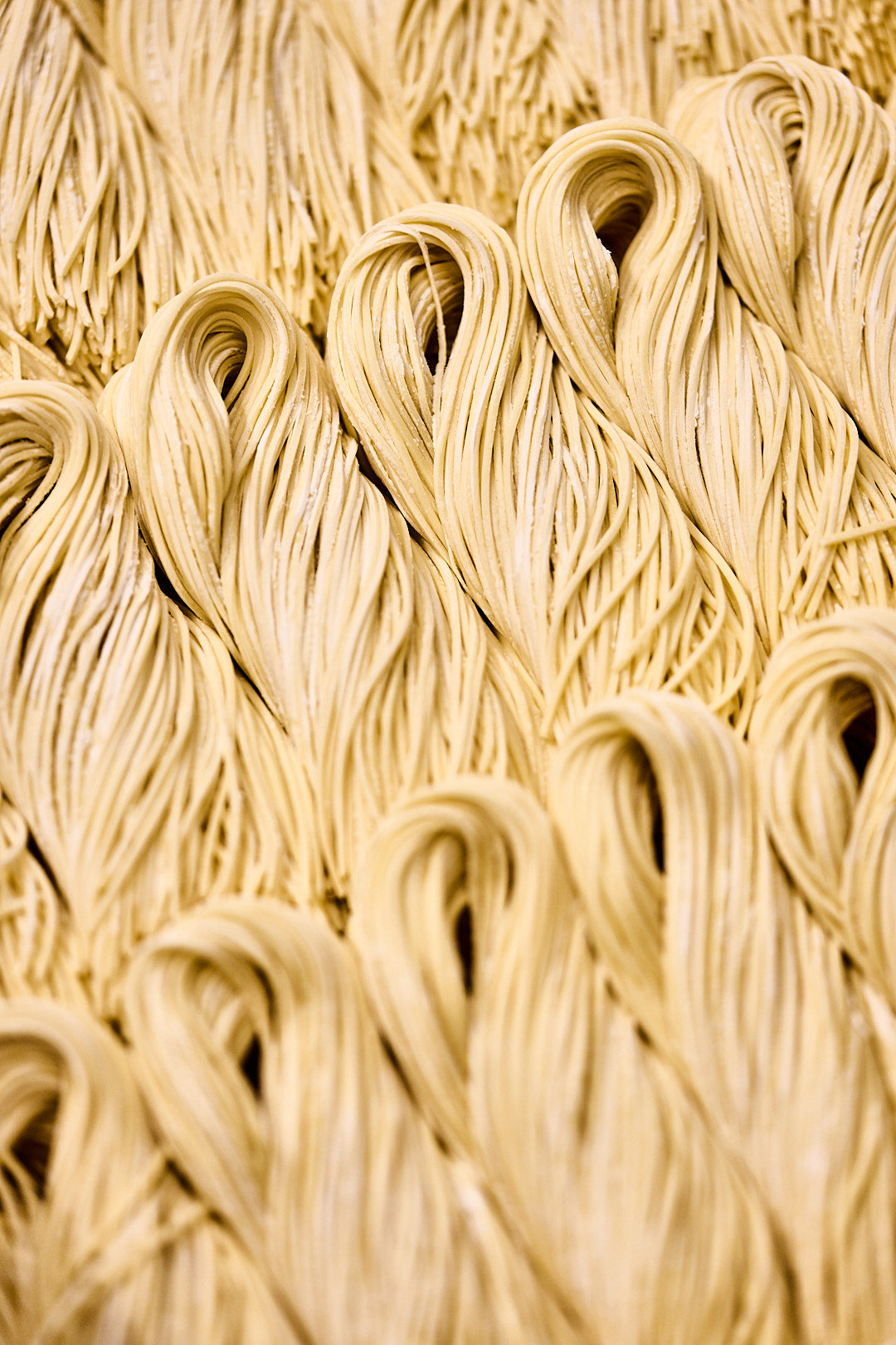Frische Ramen Nudeln (Versand ca. 14. Oktober)
